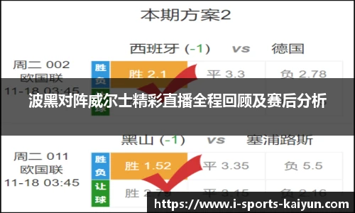 波黑对阵威尔士精彩直播全程回顾及赛后分析